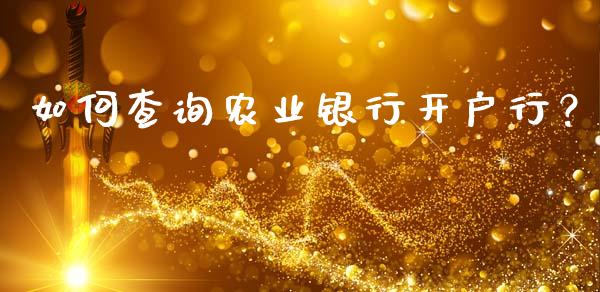 如何查询农业银行开户行？_https://wap.qdlswl.com_财经资讯_第1张