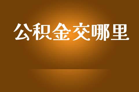 公积金交哪里_https://wap.qdlswl.com_证券新闻_第1张