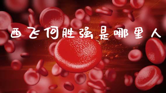 西飞何胜强是哪里人_https://wap.qdlswl.com_全球经济_第1张