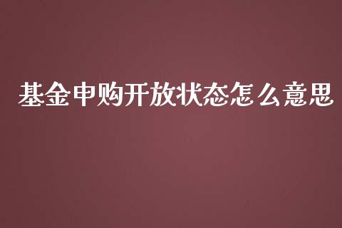 基金申购开放状态怎么意思_https://wap.qdlswl.com_财经资讯_第1张