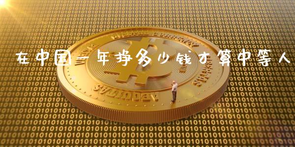 在中国一年挣多少钱才算中等人_https://wap.qdlswl.com_理财投资_第1张