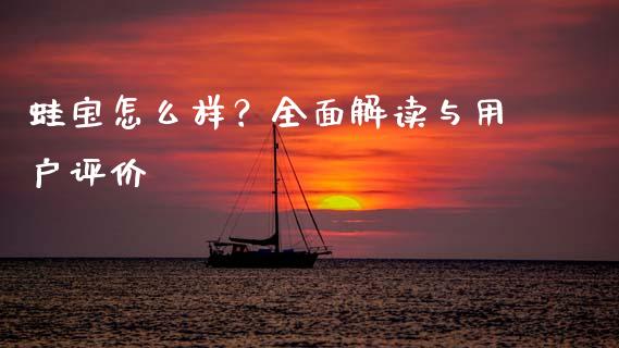 蛙宝怎么样？全面解读与用户评价_https://wap.qdlswl.com_证券新闻_第1张