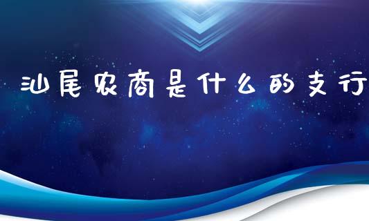 汕尾农商是什么的支行_https://wap.qdlswl.com_理财投资_第1张