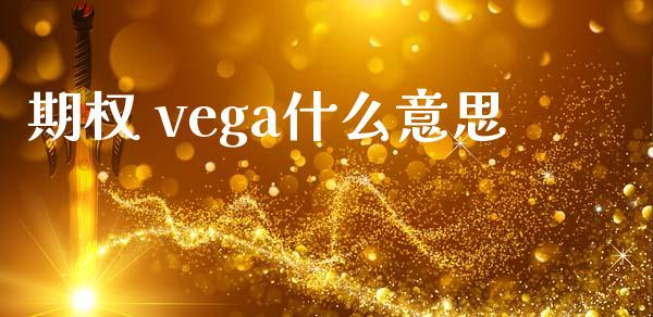 期权 vega什么意思_https://wap.qdlswl.com_证券新闻_第1张