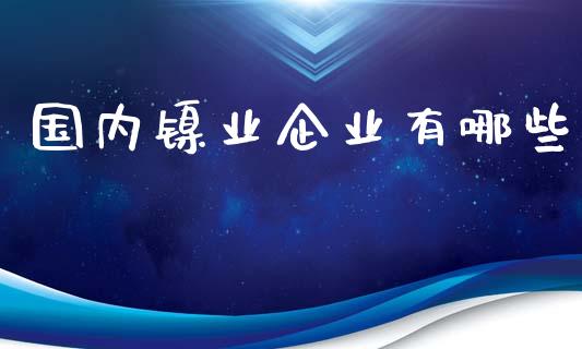 国内镍业企业有哪些_https://wap.qdlswl.com_财经资讯_第1张