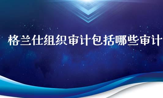 格兰仕组织审计包括哪些审计_https://wap.qdlswl.com_财经资讯_第1张