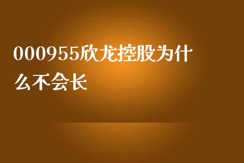 000955欣龙控股为什么不会长_https://wap.qdlswl.com_证券新闻_第1张