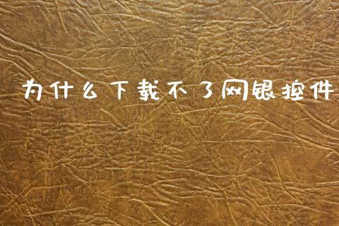 为什么下载不了网银控件_https://wap.qdlswl.com_财经资讯_第1张