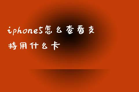 iphone5怎么查看支持用什么卡_https://wap.qdlswl.com_财经资讯_第1张