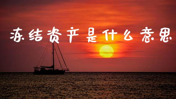冻结资产是什么意思_https://wap.qdlswl.com_全球经济_第1张