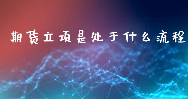 期货立项是处于什么流程_https://wap.qdlswl.com_证券新闻_第1张