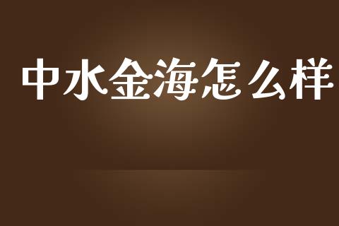 中水金海怎么样_https://wap.qdlswl.com_全球经济_第1张