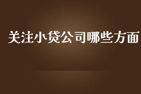 关注小贷公司哪些方面_https://wap.qdlswl.com_证券新闻_第1张