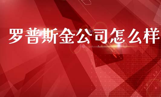 罗普斯金公司怎么样_https://wap.qdlswl.com_证券新闻_第1张