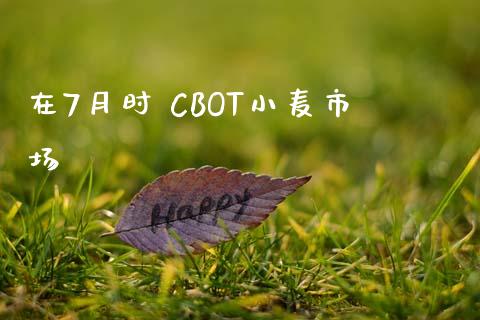 在7月时 CBOT小麦市场_https://wap.qdlswl.com_理财投资_第1张