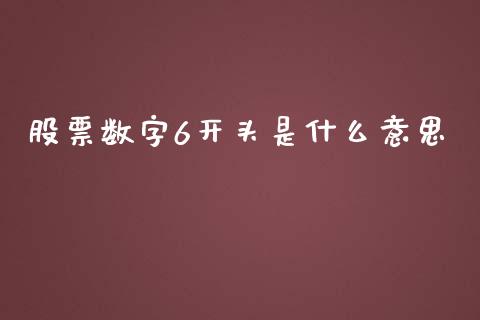 股票数字6开头是什么意思_https://wap.qdlswl.com_全球经济_第1张