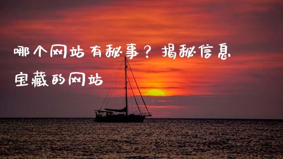 哪个网站有秘事？揭秘信息宝藏的网站_https://wap.qdlswl.com_财经资讯_第1张