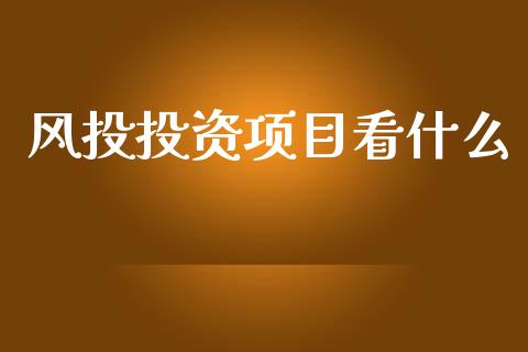 风投投资项目看什么_https://wap.qdlswl.com_证券新闻_第1张