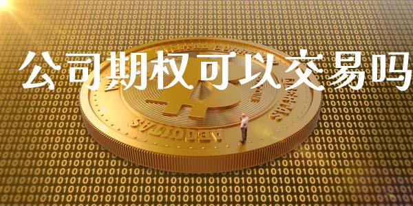 公司期权可以交易吗_https://wap.qdlswl.com_理财投资_第1张