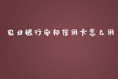 农业银行安邦信用卡怎么用_https://wap.qdlswl.com_理财投资_第1张