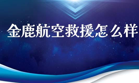 金鹿航空救援怎么样_https://wap.qdlswl.com_理财投资_第1张