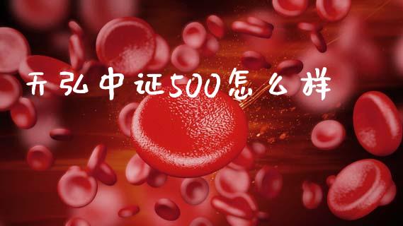 天弘中证500怎么样_https://wap.qdlswl.com_理财投资_第1张