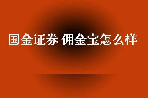 国金证券 佣金宝怎么样_https://wap.qdlswl.com_理财投资_第1张