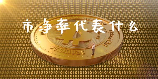 市净率代表什么_https://wap.qdlswl.com_理财投资_第1张