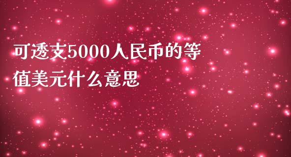 可透支5000人民币的等值美元什么意思_https://wap.qdlswl.com_财经资讯_第1张