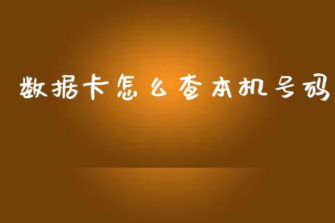 数据卡怎么查本机号码_https://wap.qdlswl.com_全球经济_第1张