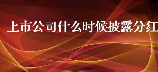 上市公司什么时候披露分红_https://wap.qdlswl.com_证券新闻_第1张