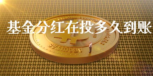 基金分红在投多久到账_https://wap.qdlswl.com_证券新闻_第1张