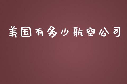 美国有多少航空公司_https://wap.qdlswl.com_理财投资_第1张