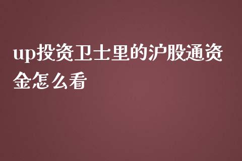 up投资卫士里的沪股通资金怎么看_https://wap.qdlswl.com_全球经济_第1张