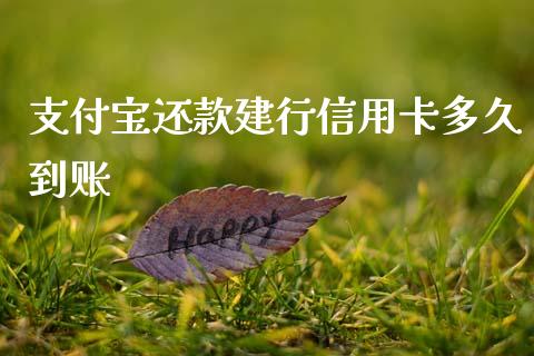 支付宝还款建行信用卡多久到账_https://wap.qdlswl.com_财经资讯_第1张