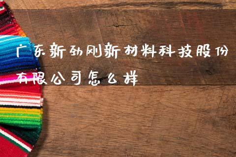 广东新劲刚新材料科技股份有限公司怎么样_https://wap.qdlswl.com_证券新闻_第1张