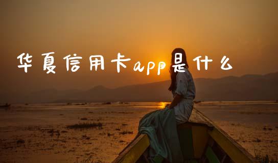 华夏信用卡app是什么_https://wap.qdlswl.com_全球经济_第1张