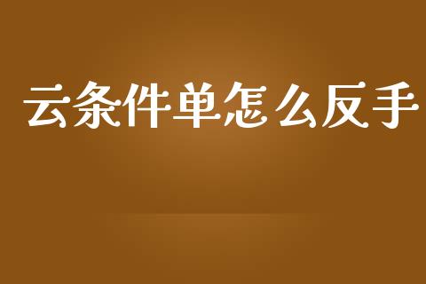 云条件单怎么反手_https://wap.qdlswl.com_全球经济_第1张