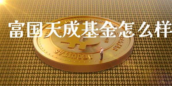 富国天成基金怎么样_https://wap.qdlswl.com_财经资讯_第1张