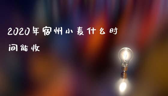 2020年宿州小麦什么时间能收_https://wap.qdlswl.com_全球经济_第1张