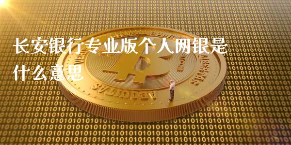 长安银行专业版个人网银是什么意思_https://wap.qdlswl.com_理财投资_第1张