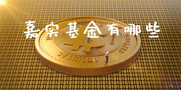 嘉实基金有哪些_https://wap.qdlswl.com_全球经济_第1张