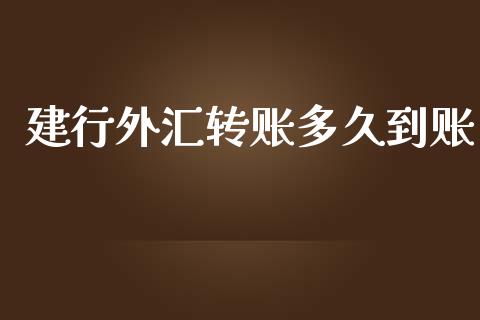 建行外汇转账多久到账_https://wap.qdlswl.com_财经资讯_第1张