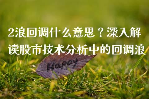 2浪回调什么意思？深入解读股市技术分析中的回调浪_https://wap.qdlswl.com_理财投资_第1张