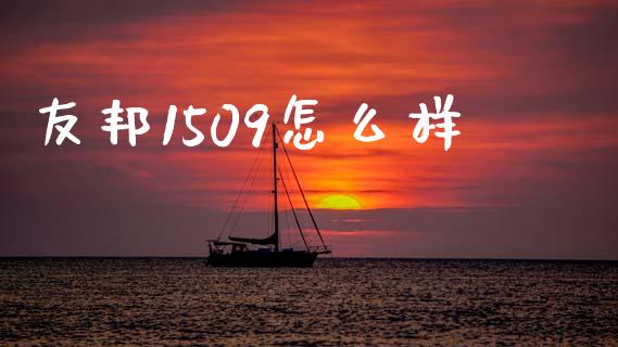 友邦1509怎么样_https://wap.qdlswl.com_财经资讯_第1张