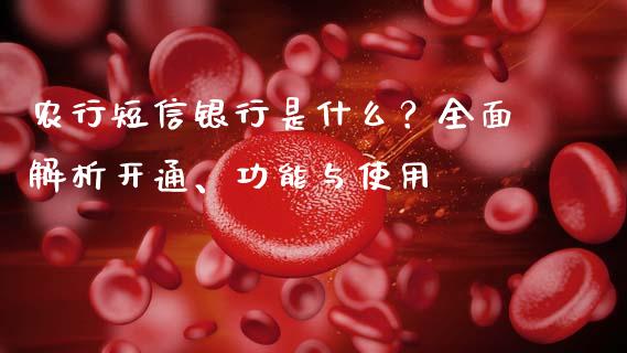 农行短信银行是什么？全面解析开通、功能与使用_https://wap.qdlswl.com_全球经济_第1张