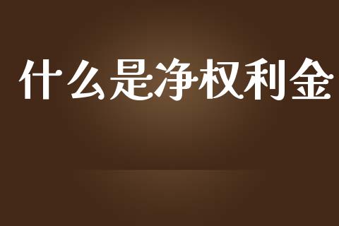 什么是净权利金_https://wap.qdlswl.com_证券新闻_第1张