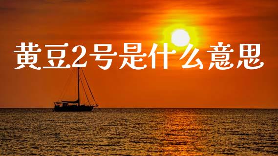 黄豆2号是什么意思_https://wap.qdlswl.com_全球经济_第1张