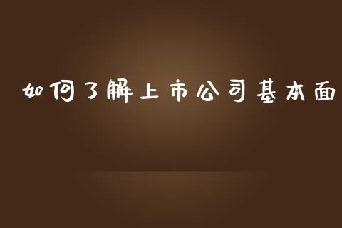 如何了解上市公司基本面_https://wap.qdlswl.com_理财投资_第1张