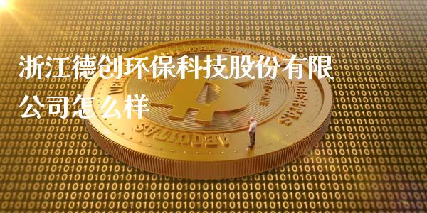 浙江德创环保科技股份有限公司怎么样_https://wap.qdlswl.com_全球经济_第1张